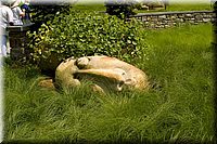 CLICK to enlarge image

Image ID: 090604CRW_2508