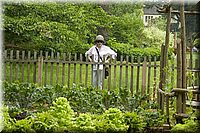CLICK to enlarge image

Image ID: 090604CRW_2521
