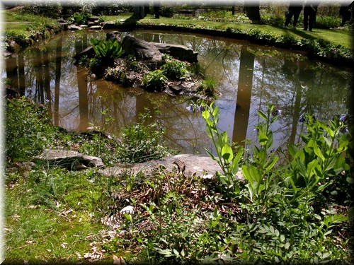 Dscn4534.jpg
