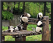 CLICK to enlarge image # 13