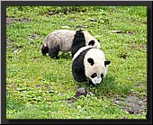 CLICK to enlarge image # 14