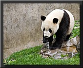 CLICK to enlarge image # 15