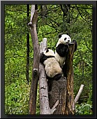 CLICK to enlarge image # 18