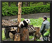 CLICK to enlarge image # 19
