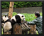 CLICK to enlarge image # 21
