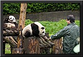 CLICK to enlarge image # 23