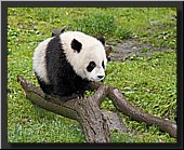 CLICK to enlarge image # 24