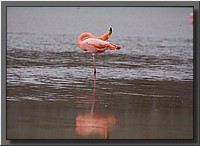 CLICK to enlarge image # 89