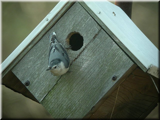 DSCN3651.JPG