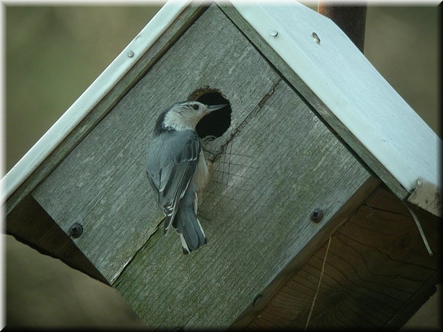 DSCN3666.JPG