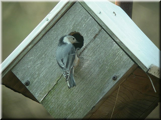 DSCN3673.JPG