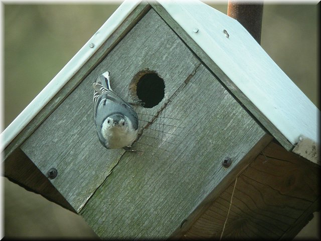 DSCN3676.JPG