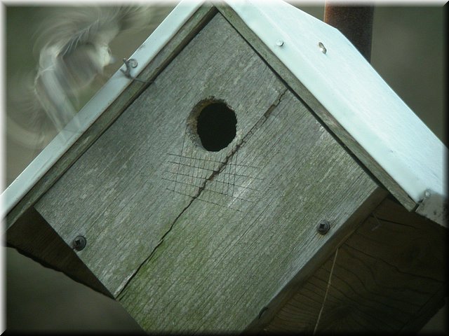 DSCN3693.JPG