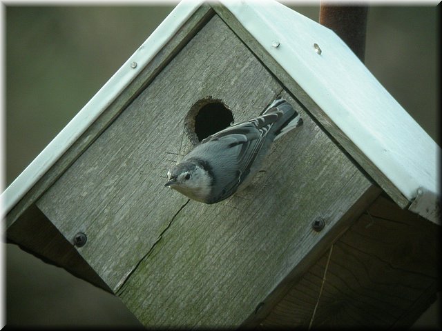 DSCN3729.JPG