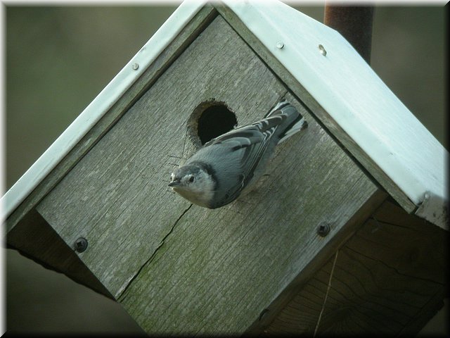 DSCN3730.JPG