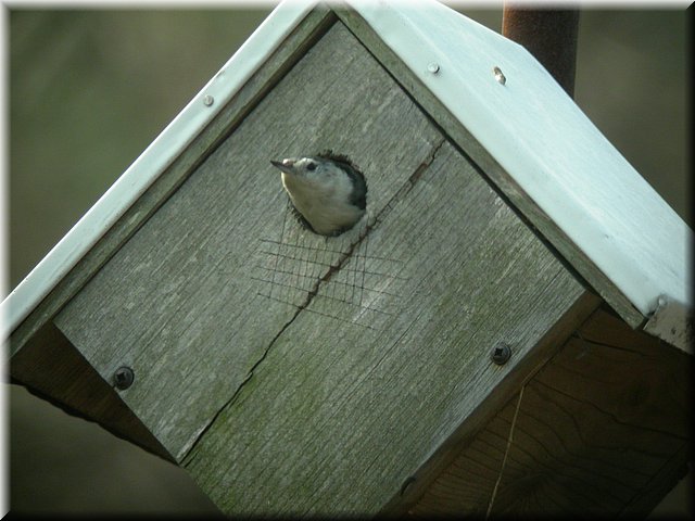 DSCN3734.JPG