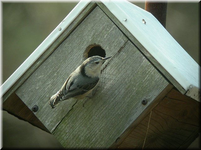 DSCN3767.JPG