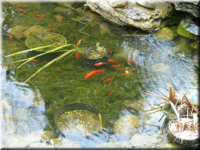 DSCN3868.JPG