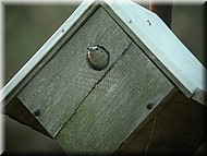 DSCN3700.JPG