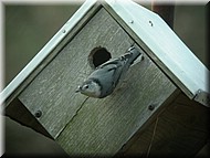 DSCN3726.JPG