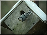 DSCN3730.JPG
