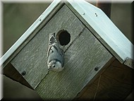 DSCN3735.JPG
