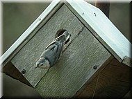 DSCN3740.JPG