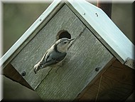 DSCN3767.JPG