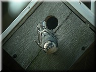 DSCN3804.JPG