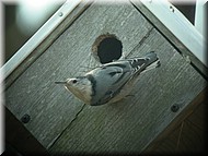 DSCN3807.JPG