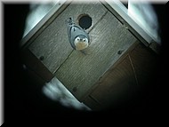 DSCN3823.JPG