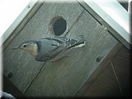 DSCN3827.JPG