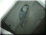 DSCN3845.JPG