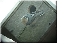 DSCN3849.JPG