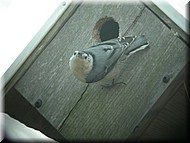 DSCN3850.JPG