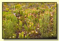 CLICK to enlarge image CRW_9209