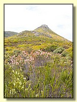 CLICK to enlarge image CRW_9213