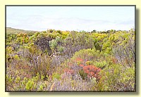 CLICK to enlarge image CRW_9214