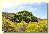 CLICK to enlarge image CRW_9215