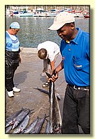 CLICK to enlarge image CRW_9266