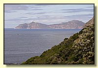CLICK to enlarge image MD9S0257