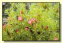 CLICK to enlarge image MD9S0259