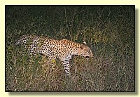 CLICK to enlarge image # 138