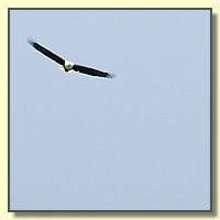 CLICK to enlarge image # 165