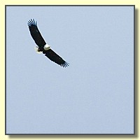 CLICK to enlarge image # 166