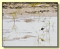 CLICK to enlarge image # 168