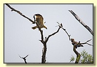 CLICK to enlarge image # 179