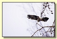 CLICK to enlarge image # 205