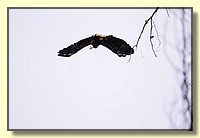 CLICK to enlarge image # 208