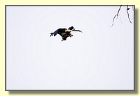 CLICK to enlarge image # 209